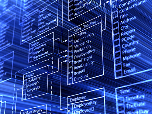 Database Management